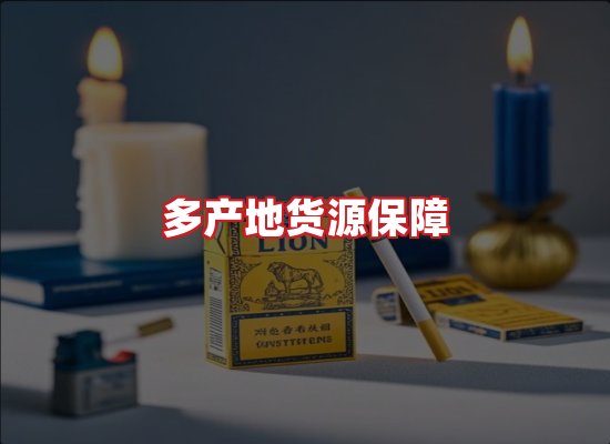 专业团队